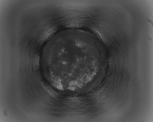 X0000092290735200710051201