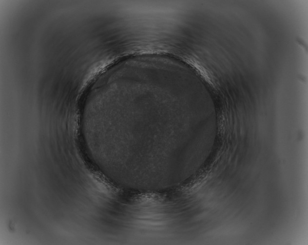 X0000092290736200710051201