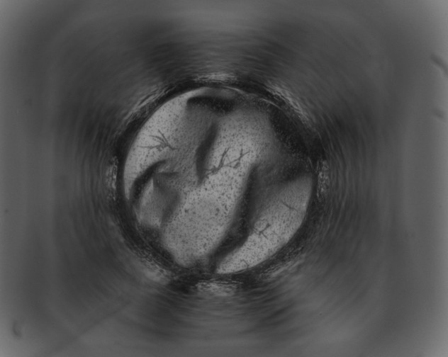 X0000092290739200710051201