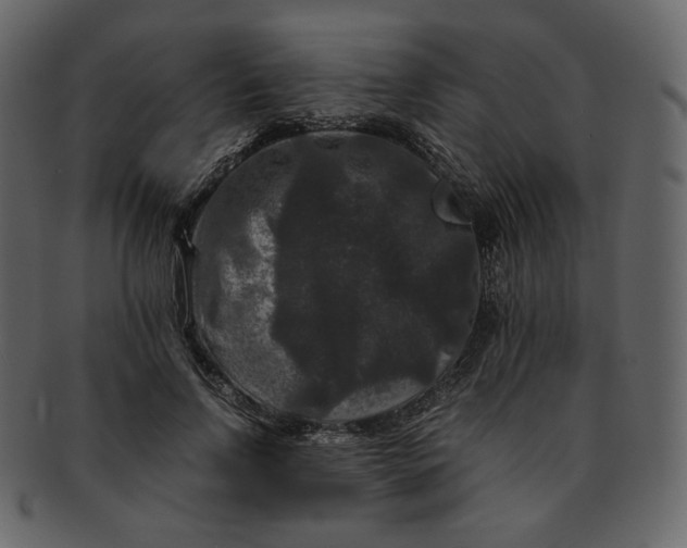 X0000092290742200710051201