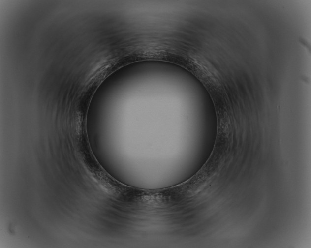 X0000092290744200710051201