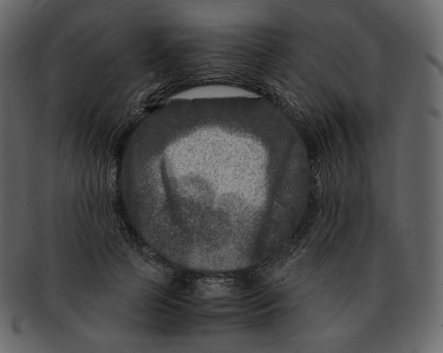 X0000092290745200710051201