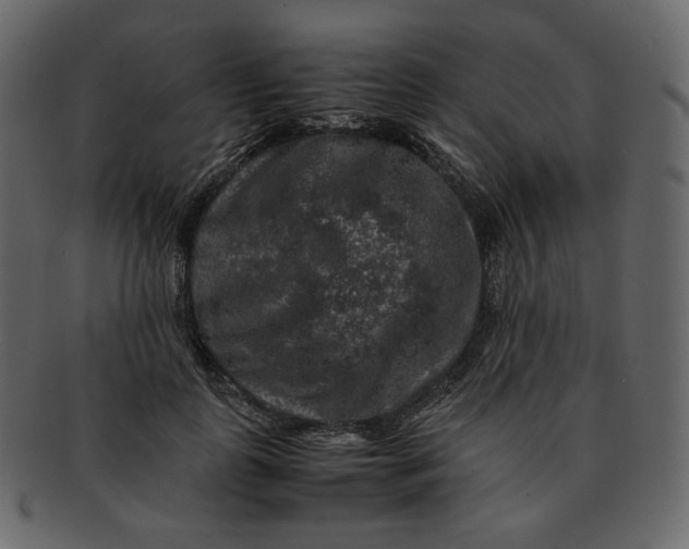 X0000092290747200710051201