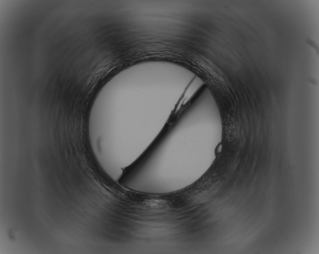 X0000092290748200710051201