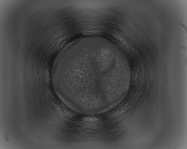 X0000092290749200710051201