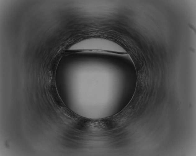 X0000092290752200710051201