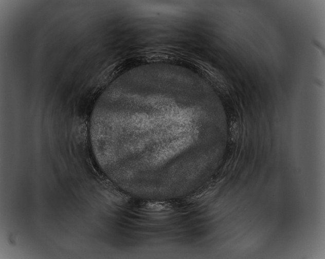 X0000092290753200710051201