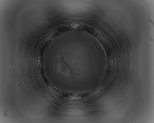 X0000092290754200710051201