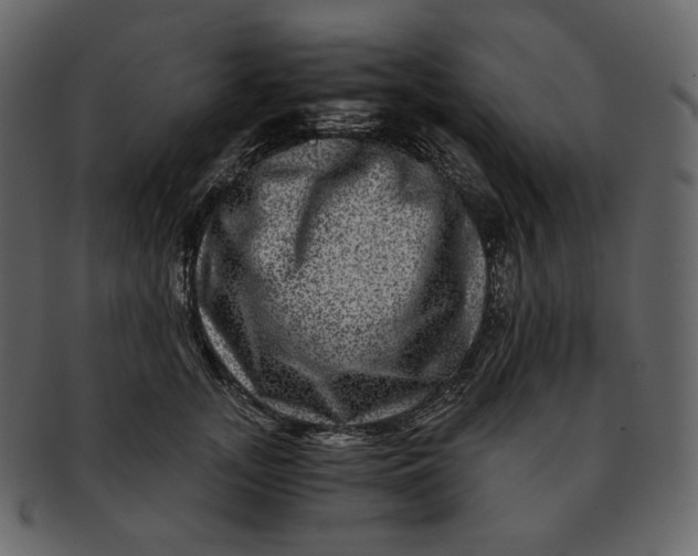 X0000092290755200710051201