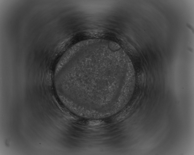 X0000092290757200710051201