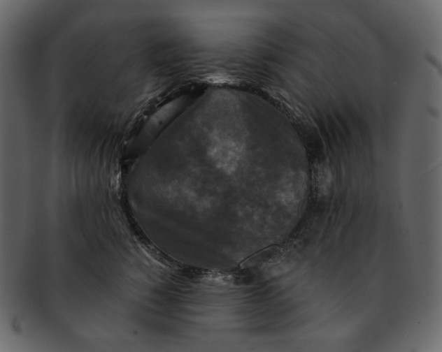 X0000092290760200710051201