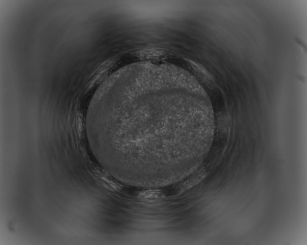 X0000092290761200710051201