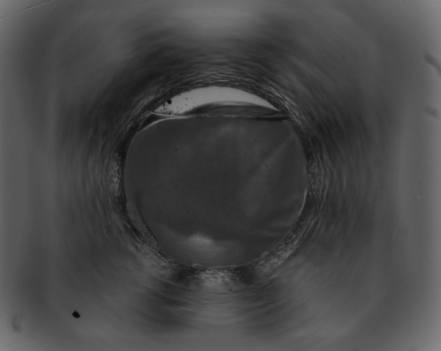 X0000092290762200710051201