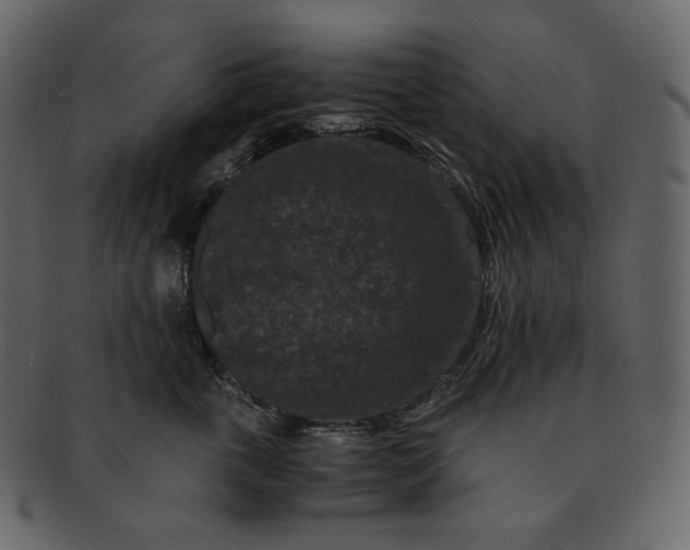 X0000092290763200710051201