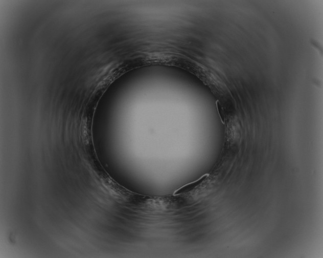 X0000092290764200710051202