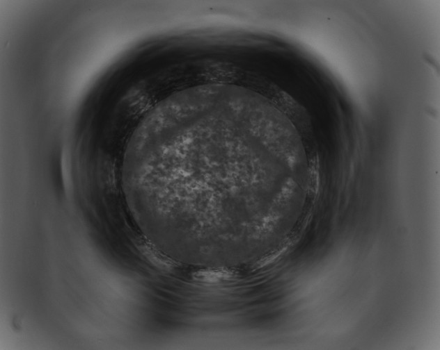 X0000092290765200710051202