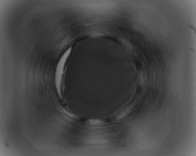 X0000092290766200710051202