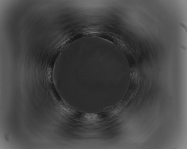 X0000092290767200710051202