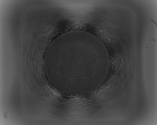 X0000092290769200710051201