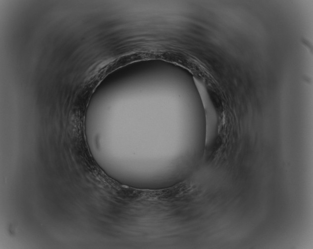 X0000092290773200710051201