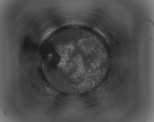 X0000092290775200710051201