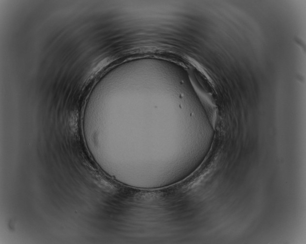 X0000092290778200710051201