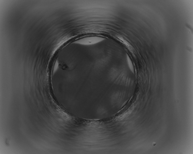 X0000092290779200710051201