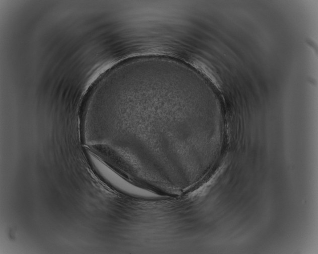 X0000092290781200710051201