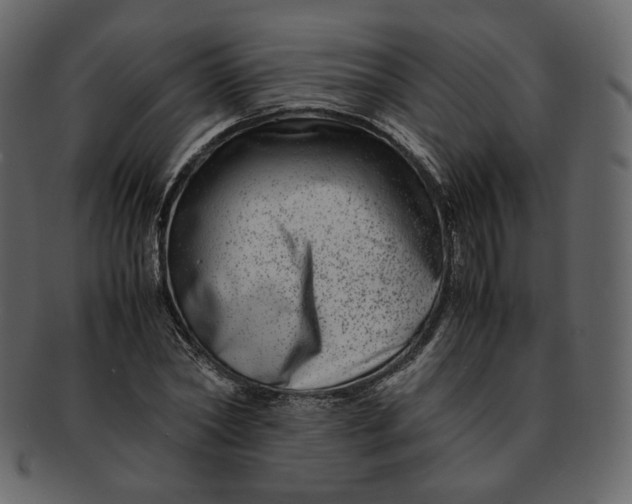 X0000092290782200710051201