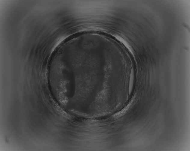 X0000092290783200710051201