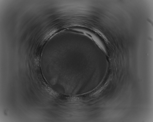 X0000092290785200710051201