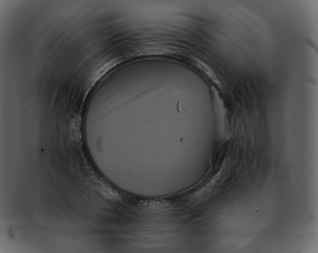 X0000092290786200710051201