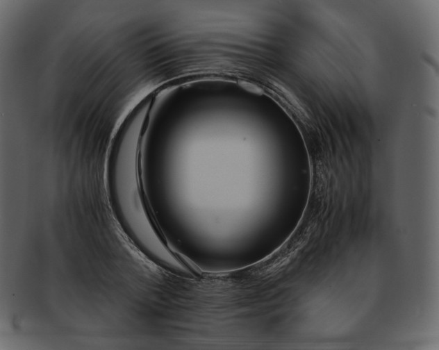 X0000092290788200710051201