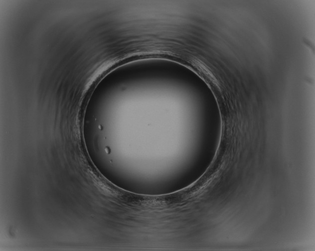 X0000092290789200710051201