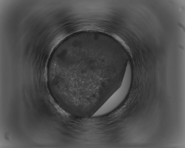 X0000092290791200710051201