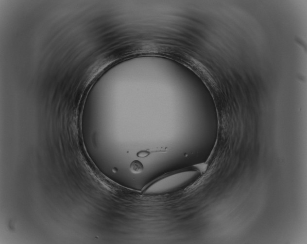 X0000092290794200710051201