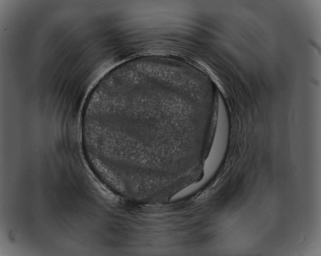 X0000092290795200710051201