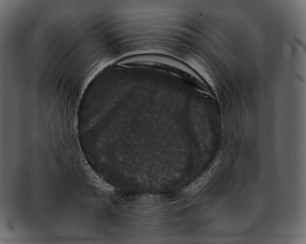 X0000092290797200710051201