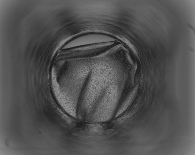 X0000092290799200710051201