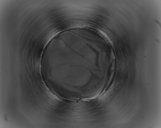 X0000092290802200710051201