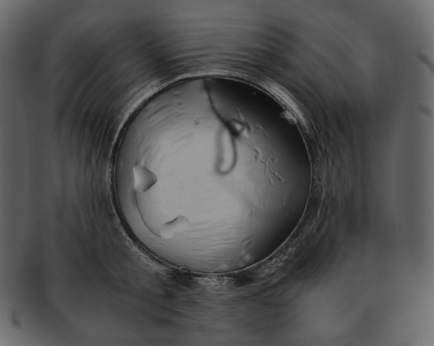 X0000092290805200710051201