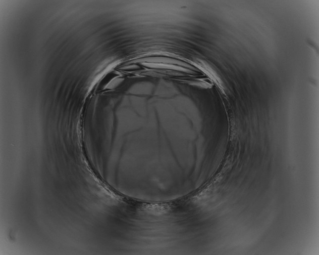 X0000092290806200710051201