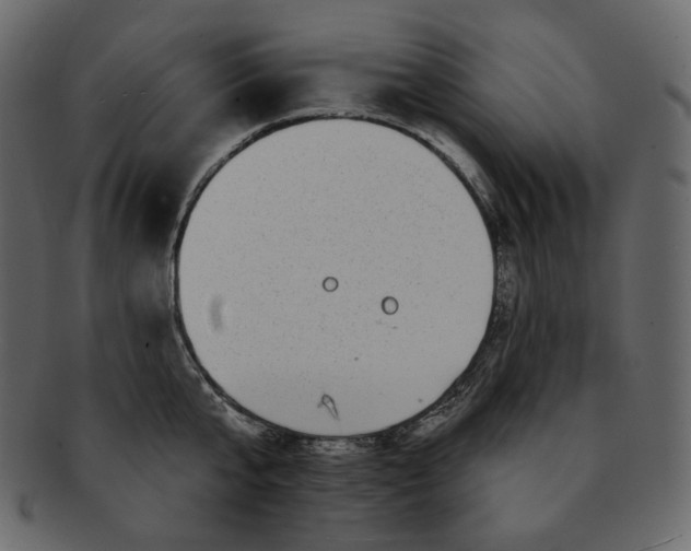 X0000092290807200710051201