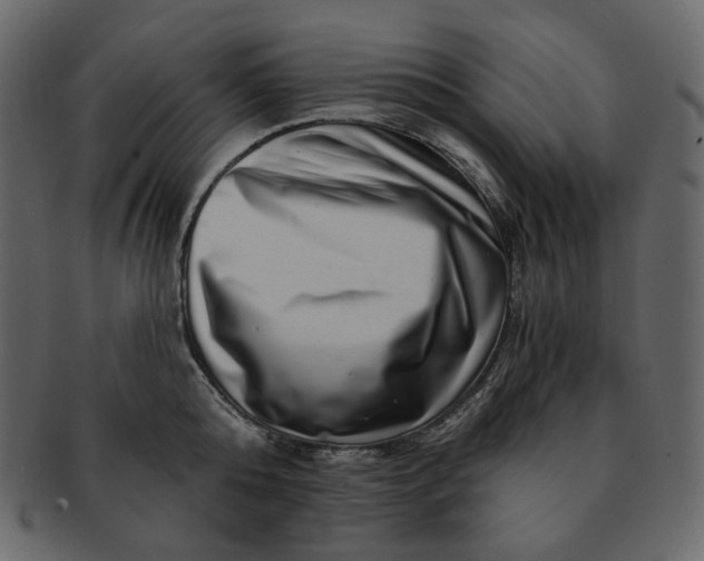 X0000092290808200710051201