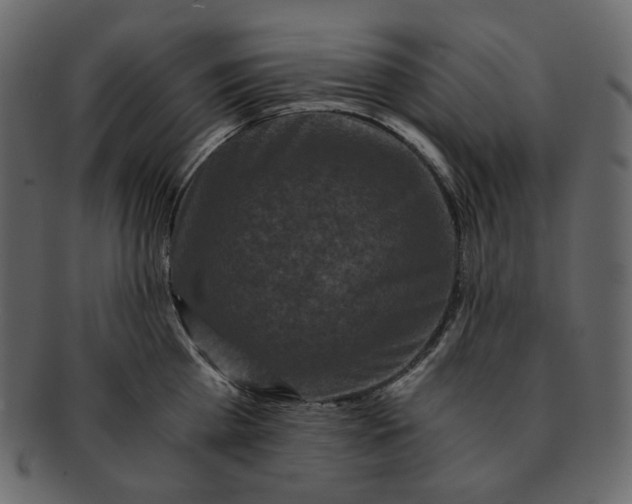 X0000092290809200710051201