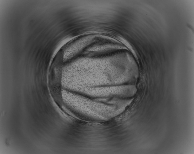 X0000092290811200710051200