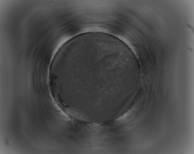 X0000092290815200710051200