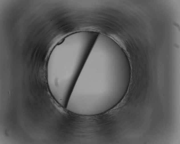 X0000092290816200710051200