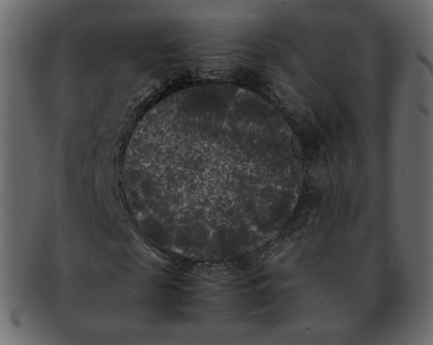 X0000092290817200710051200