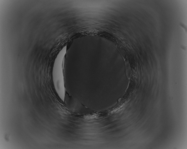 X0000092290818200710051200